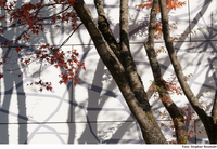 Extension daycare center, Sindelfingen