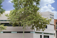 Stichting Joia - Barcelona