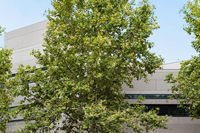 Fondation Joia - Barcelona