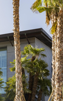 Vivienda unifamiliar Sotogrande